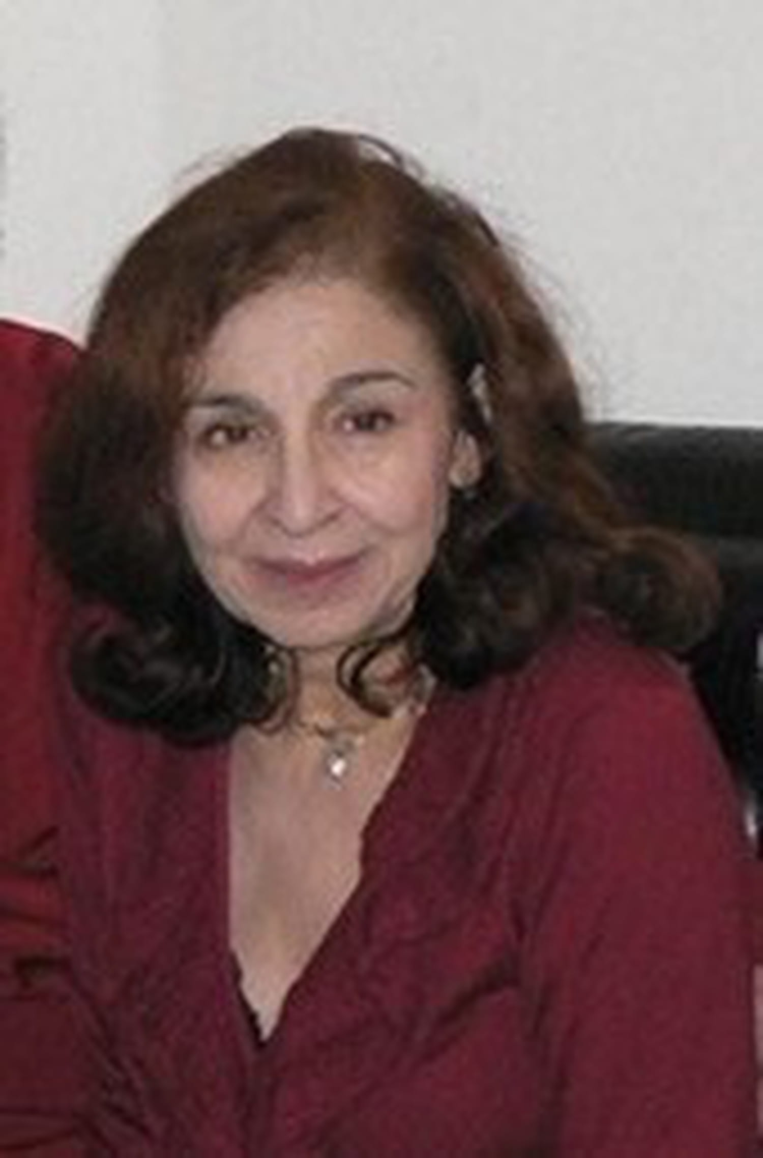 Ariel Minaudiere main image 1